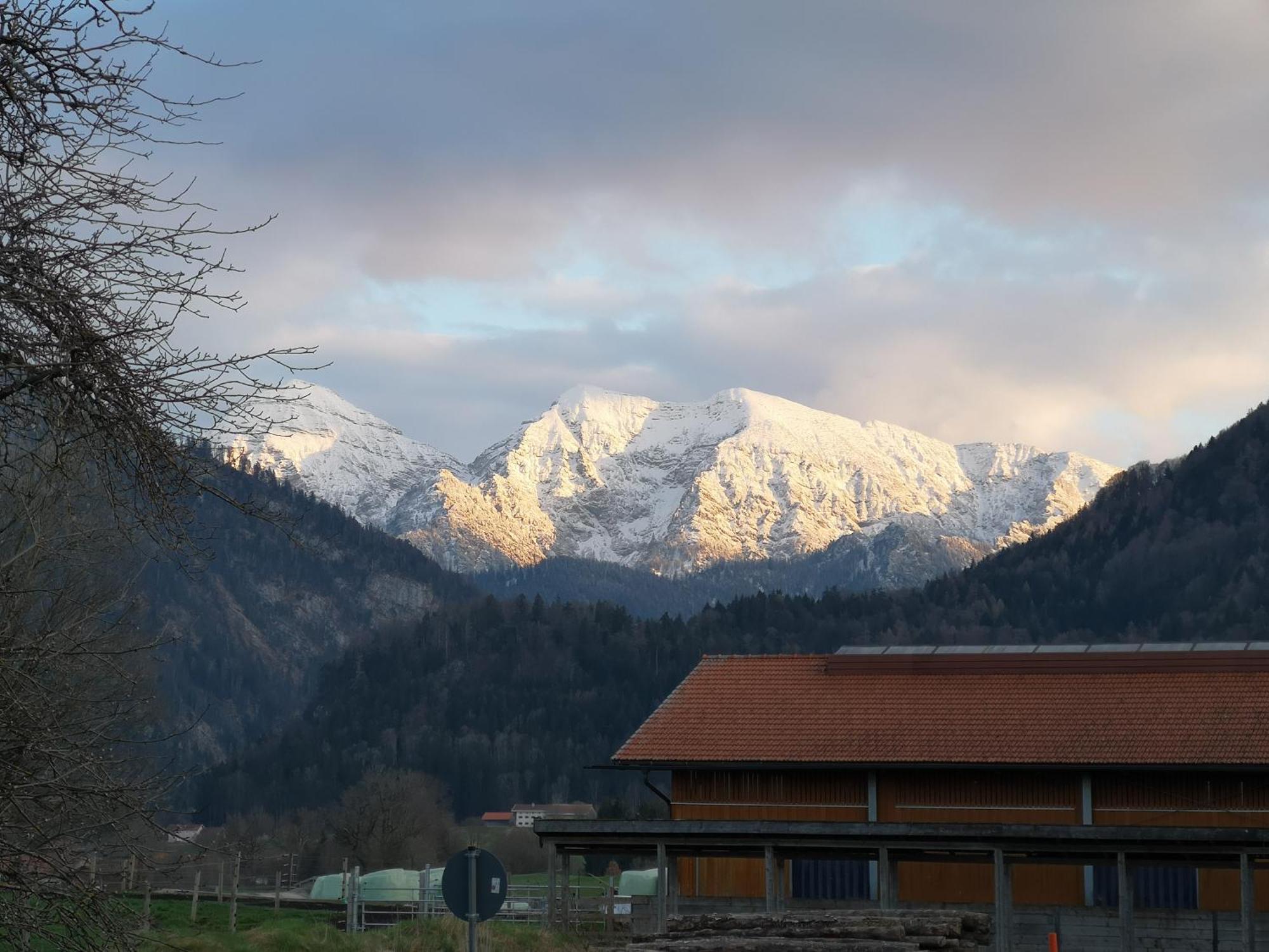 Ferienwohnung Am Wasen Inkl. Chiemgaukarte Ruhpolding Exteriör bild